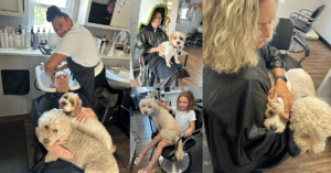 Doodle curl support dogs at a curly hair specialist shop in Pittsburgh.